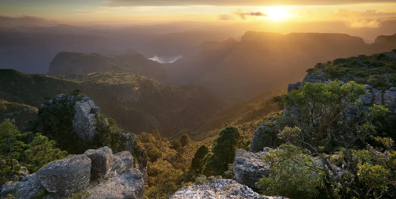 Escenas naturales en marrón: la belleza de la simplicidad